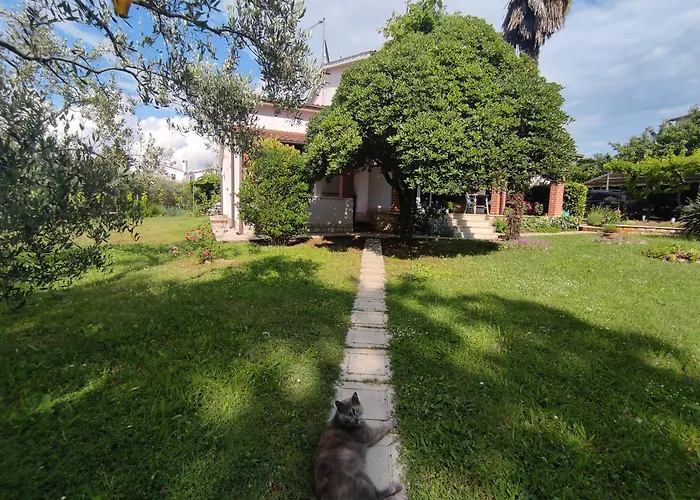 Jane דירה פורץ