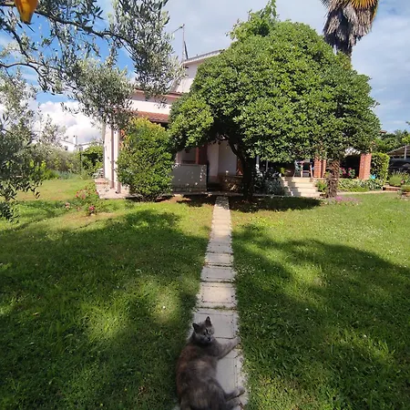 Jane Apartament Poreč